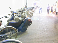 DSCN0641
