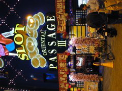 DSCN0648