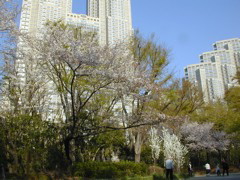 DSCN0603