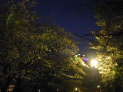 DSCN0659