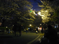 DSCN0660