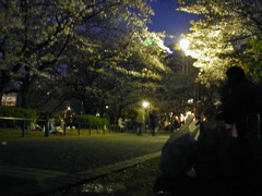 DSCN0661