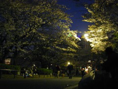 DSCN0662