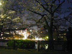 DSCN0666