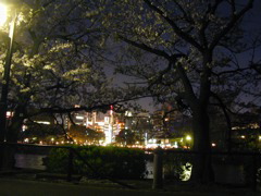 DSCN0667