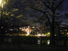 DSCN0668