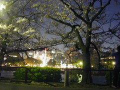 DSCN0669