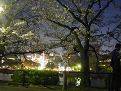 DSCN0670