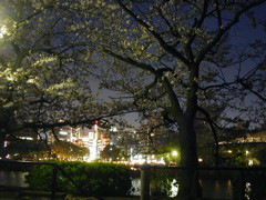 DSCN0671