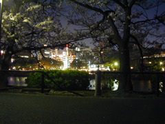 DSCN0672
