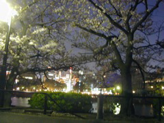 DSCN0674