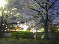DSCN0675