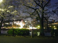 DSCN0677