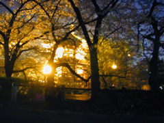 DSCN0678