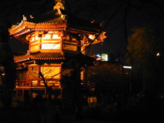 DSCN0681
