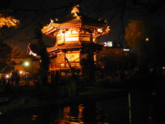 DSCN0682