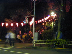 DSCN0684