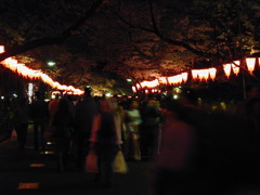 DSCN0690