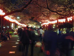 DSCN0691