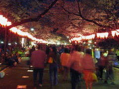 DSCN0692