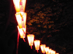 DSCN0694