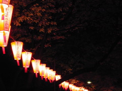 DSCN0695