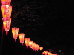 DSCN0696