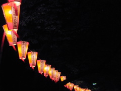 DSCN0697