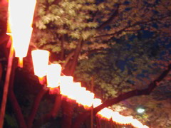 DSCN0698